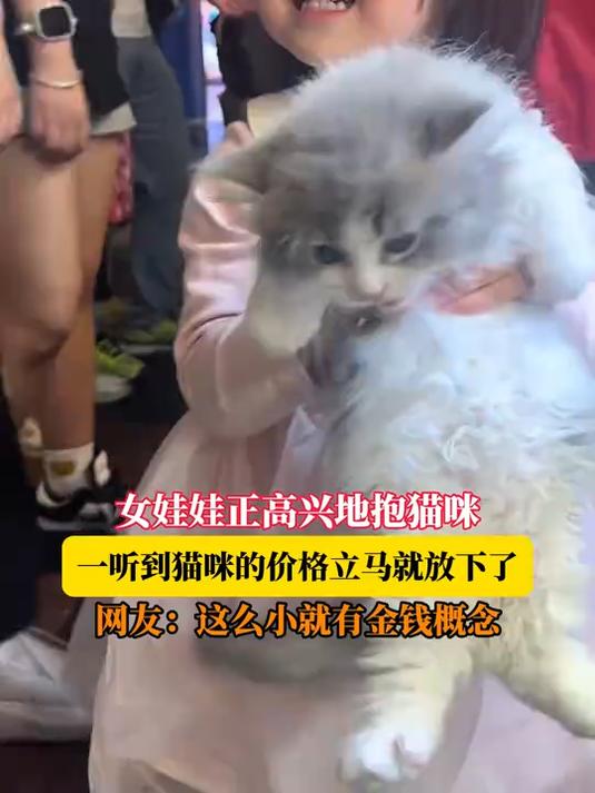 女娃娃正高兴地抱猫咪,一听到猫咪的价格立马就放下了