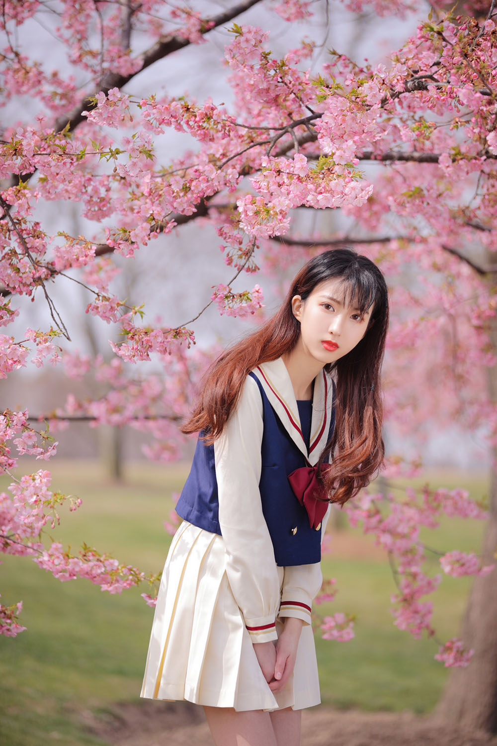 图片[39]-樱花-六色网