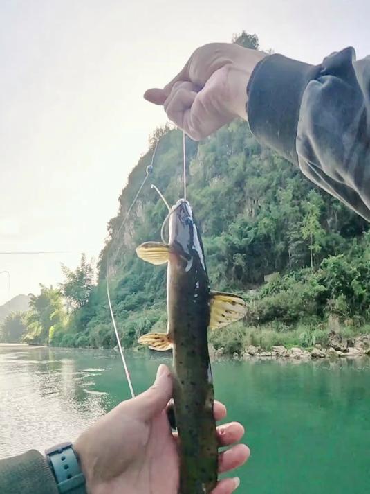 30米深水发现保护鱼种和不认识的鱼