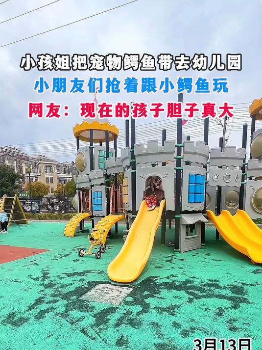 小孩姐把宠物鳄鱼带去幼儿园,小朋友们抢着跟小鳄鱼玩
