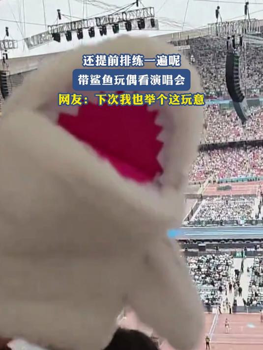 还提前排练一遍呢,带鲨鱼玩偶看演唱会,网友:下次我也举这个