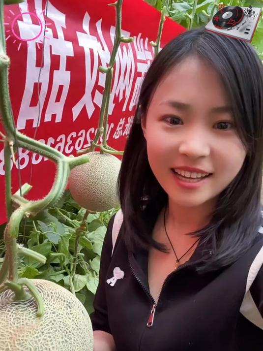 冰淇淋口感的网纹玫珑蜜瓜!一定要尝一下!巨甜!