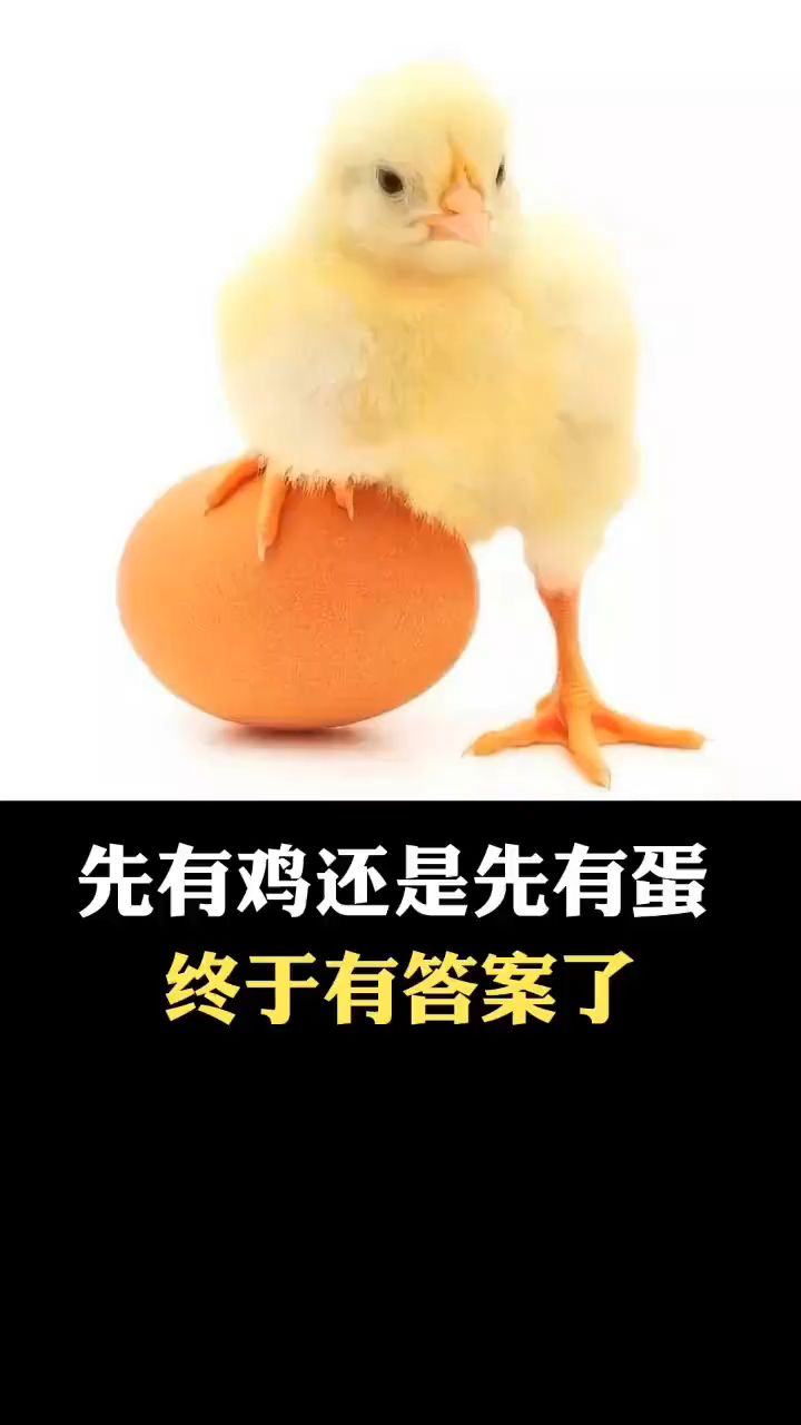 先有鸡还是先有蛋,终于有答案了。