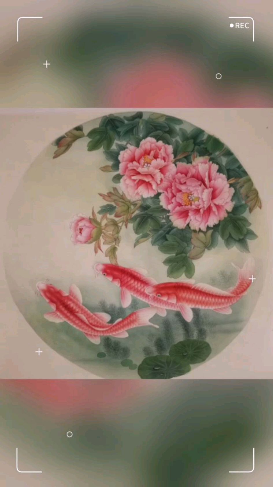 工笔牡丹鱼富贵有余