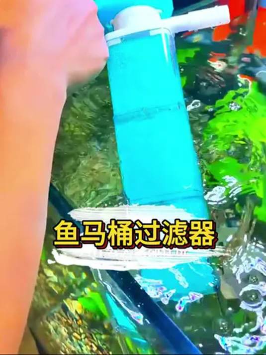 鱼缸过滤器超厉害!集多能一体,轻松分解鱼便残渣