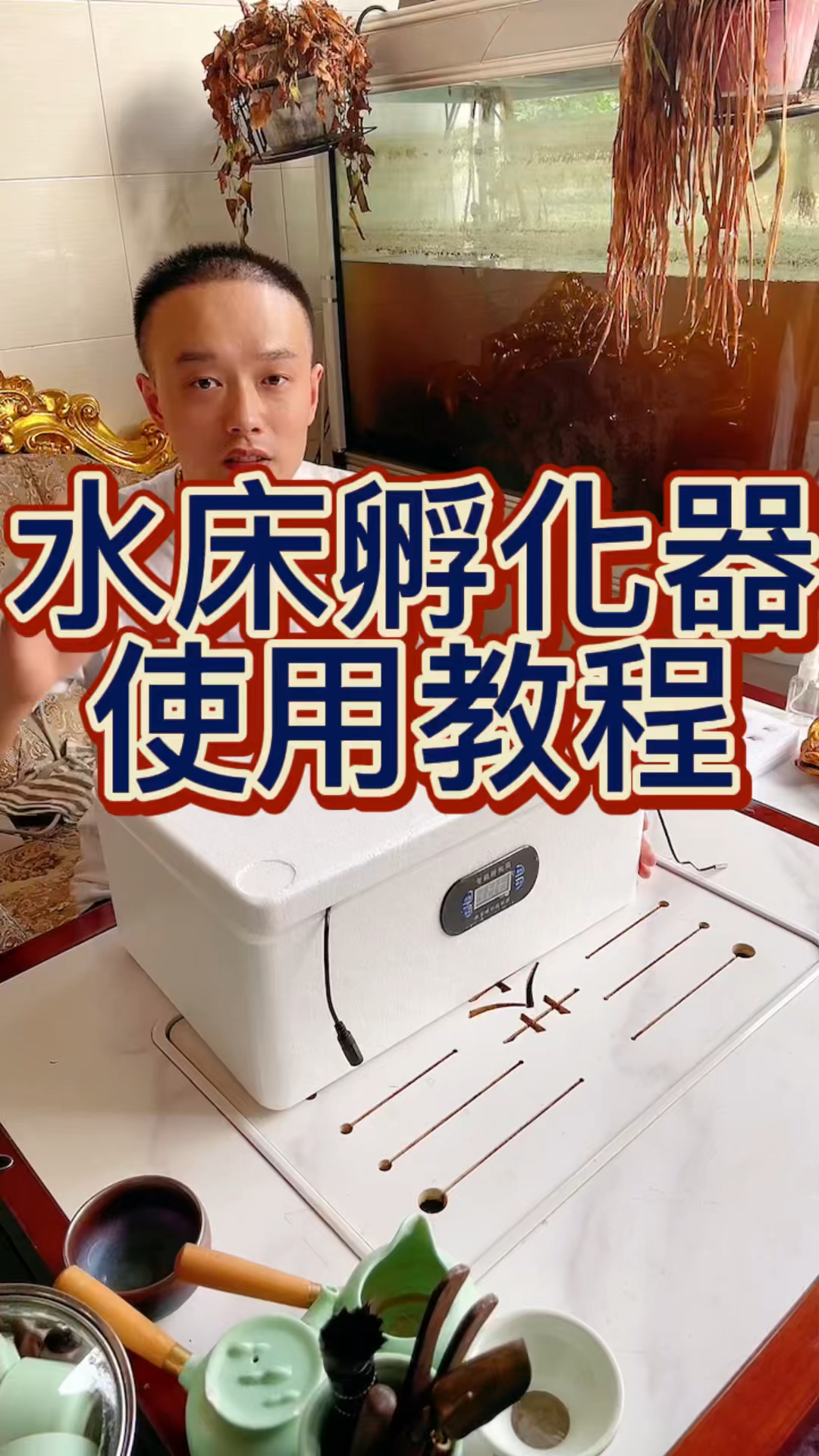 用水床孵化器孵化芦丁鸡蛋