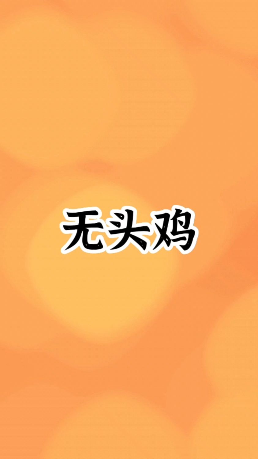 无头鸡麦克‖被斩掉头之后活了18个月的公鸡