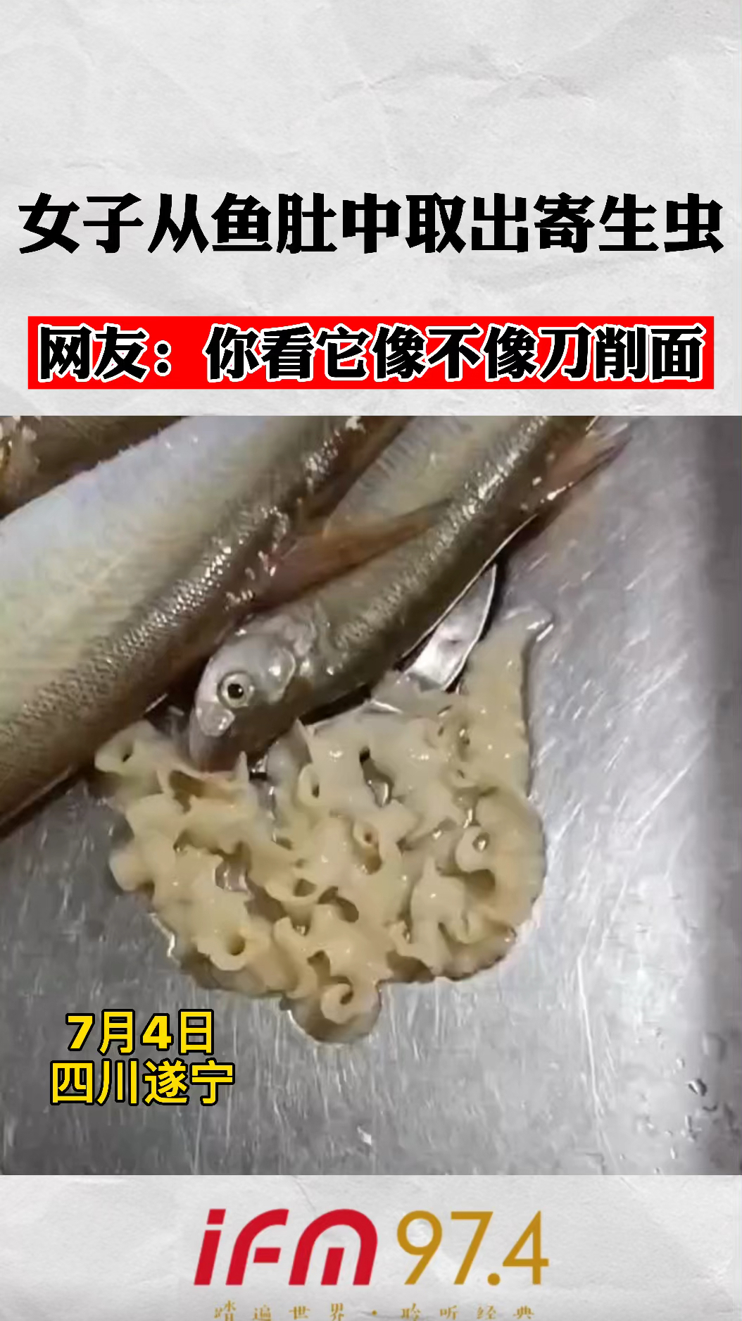 女子从鱼肚中取出寄生虫,网友:你看它像不像刀削面