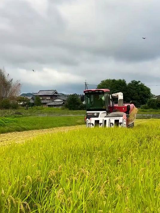 久保田DR6130:不仅是收割机,更是130马力的效率猛兽