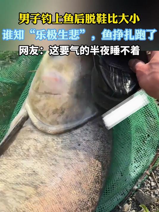 男子钓上鱼后脱鞋比大小,谁知“乐极生悲”,鱼挣扎跑了