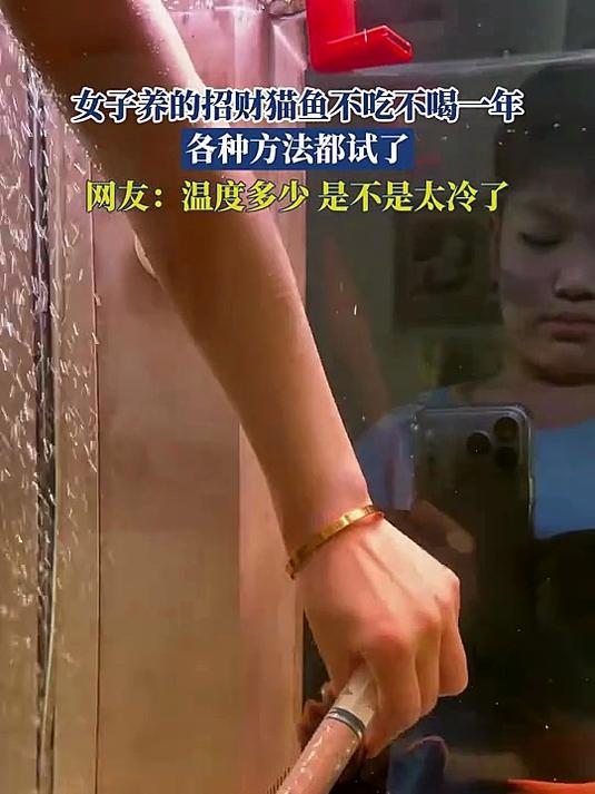 女子养的招财猫鱼不吃不喝一年,各种方法都试了
