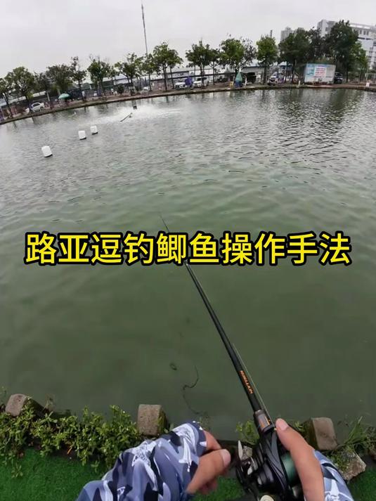 老钓友偷偷用的路亚逗钓技巧，鲫鱼见了疯咬钩