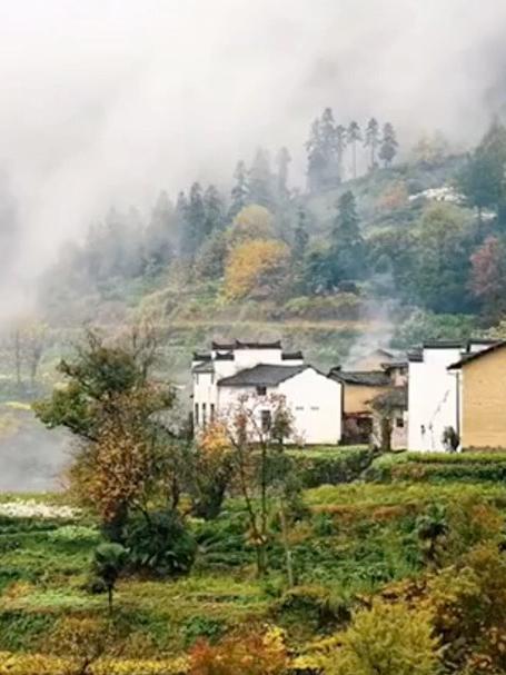 卢村景区介绍!感受徽派风情!