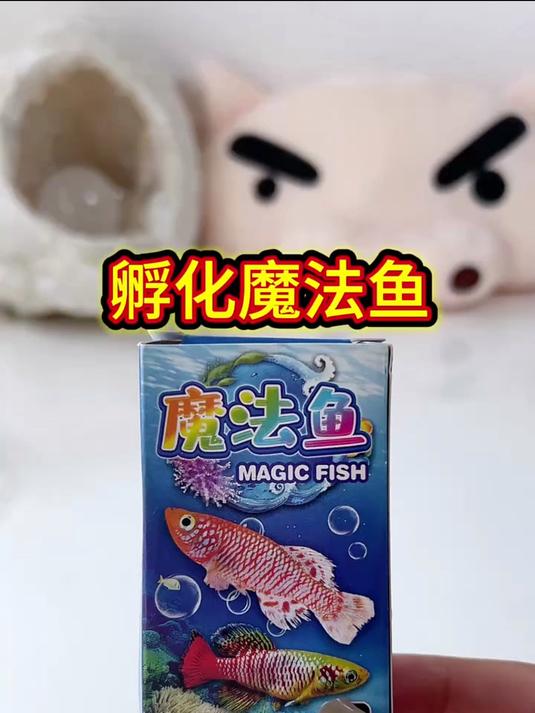 孵化魔法鱼