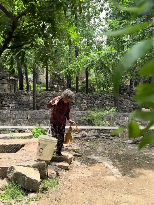 铁锅炖大鹅 人间烟火气，铁锅炖大鹅