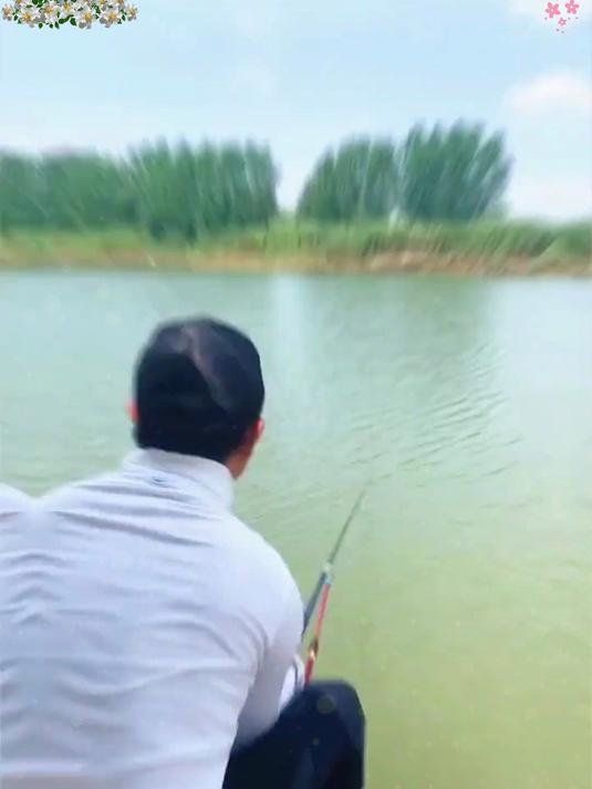 穿透水域无敌鲜!鲜丹饵料精准诱钓,鱼获直接拉满