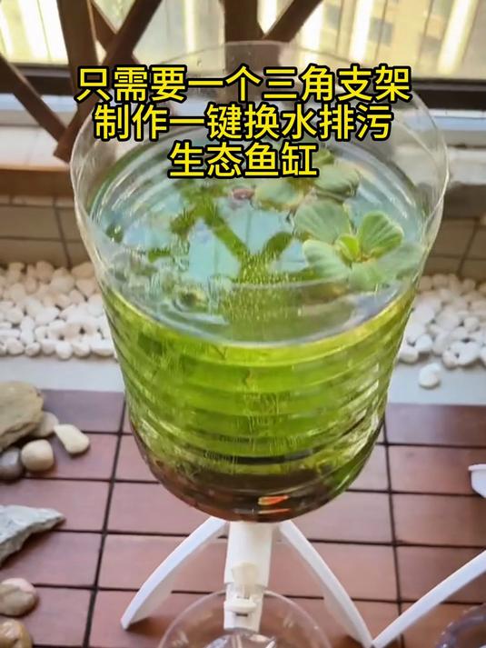 自制生态鱼缸火了，一键换水排污，养鱼都变轻松了