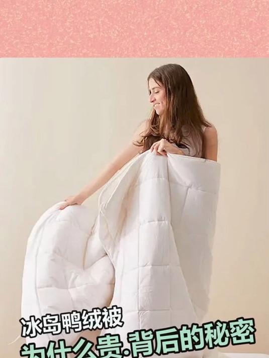 冰岛鸭绒被为什么那么贵?背后的秘密是什么?