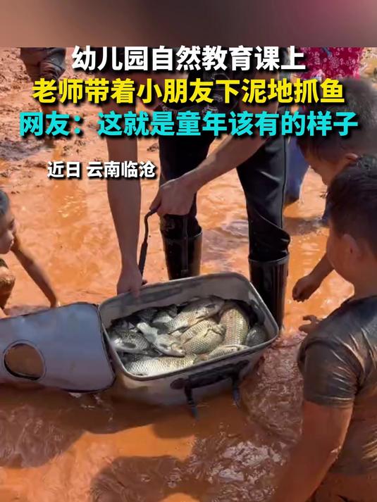 幼儿园自然教育课上 老师带着小朋友下泥地抓鱼 网友：这就是童年该有的样子