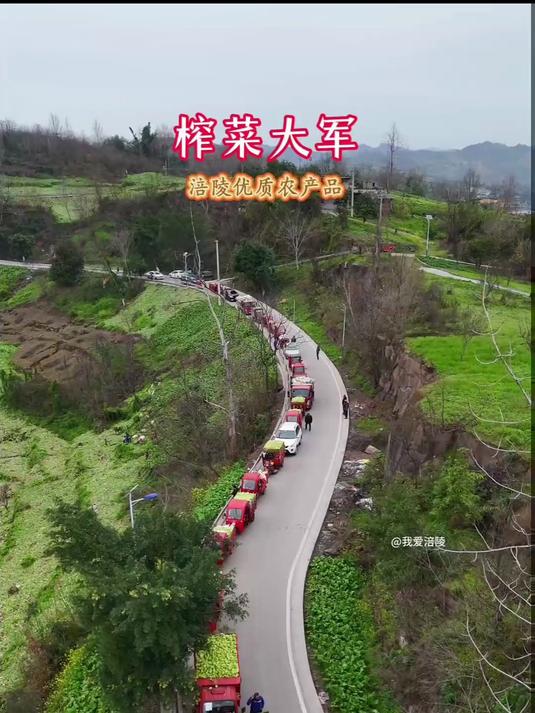X2榨菜的老家!
