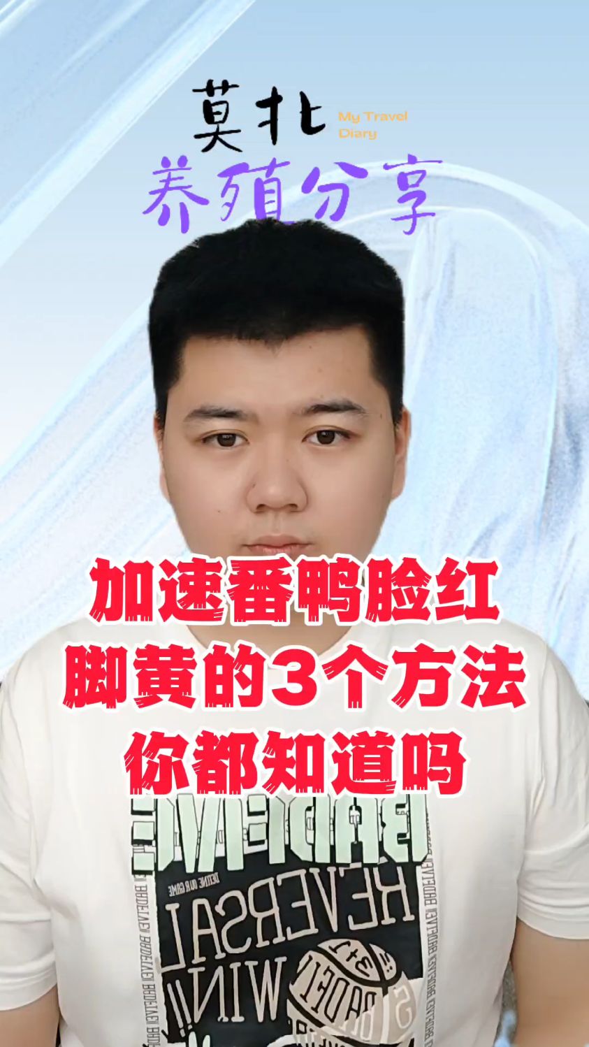 #番鸭脸不红什么原因有什么办法让番鸭红脸快番鸭几个月开始红脸呢怎样可以让番鸭脸红得