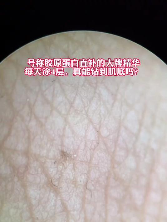 鱼籽放大真的营养丰富吗