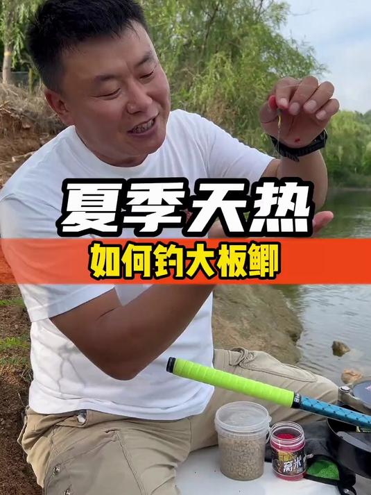 夏季天热,如何钓到大板鲫