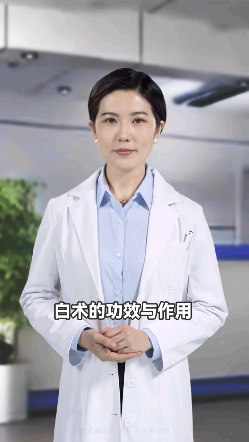 中医中草药:白术