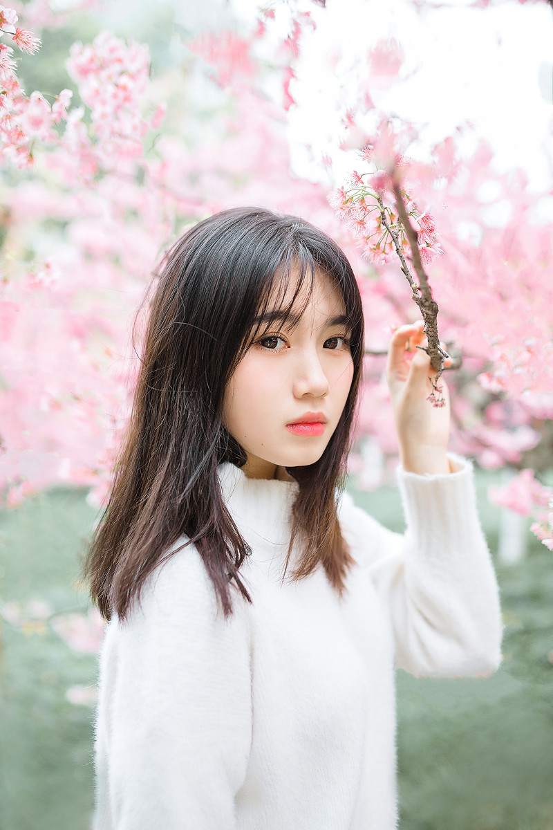 图片[10]-樱花物语-六色网