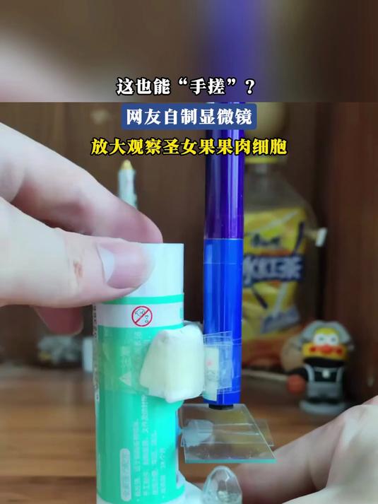 这也能“手搓”?网友自制显微镜,放大观察圣女果果肉细胞