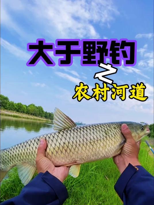 野钓农村河道，惊现巨型草鱼#户外野钓##钓鱼#