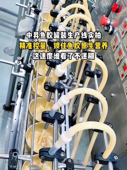 中昇鱼胶生产线