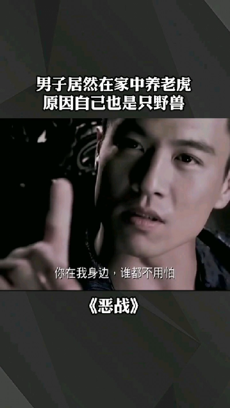 为啥在家养老虎?因为我也是只野兽