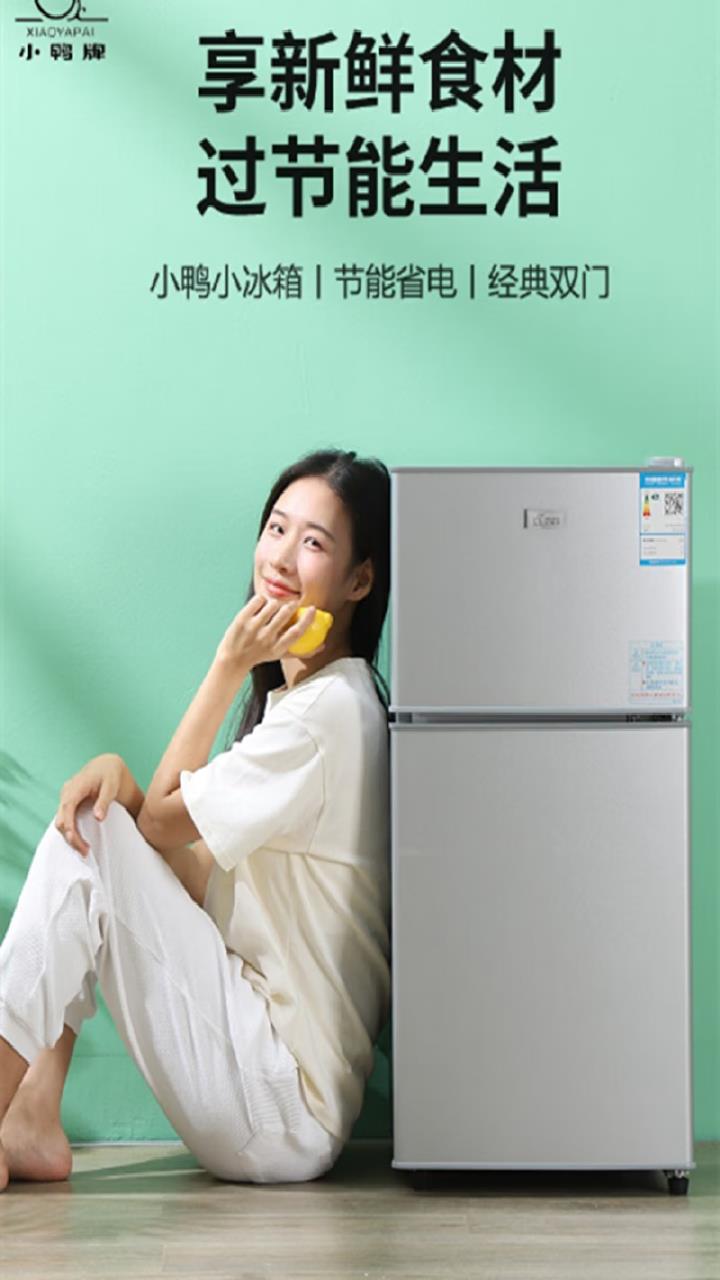 小鸭牌小冰箱迷你小型家用 冷藏冷冻 租房宿舍小户型双门电冰箱一级节能省电