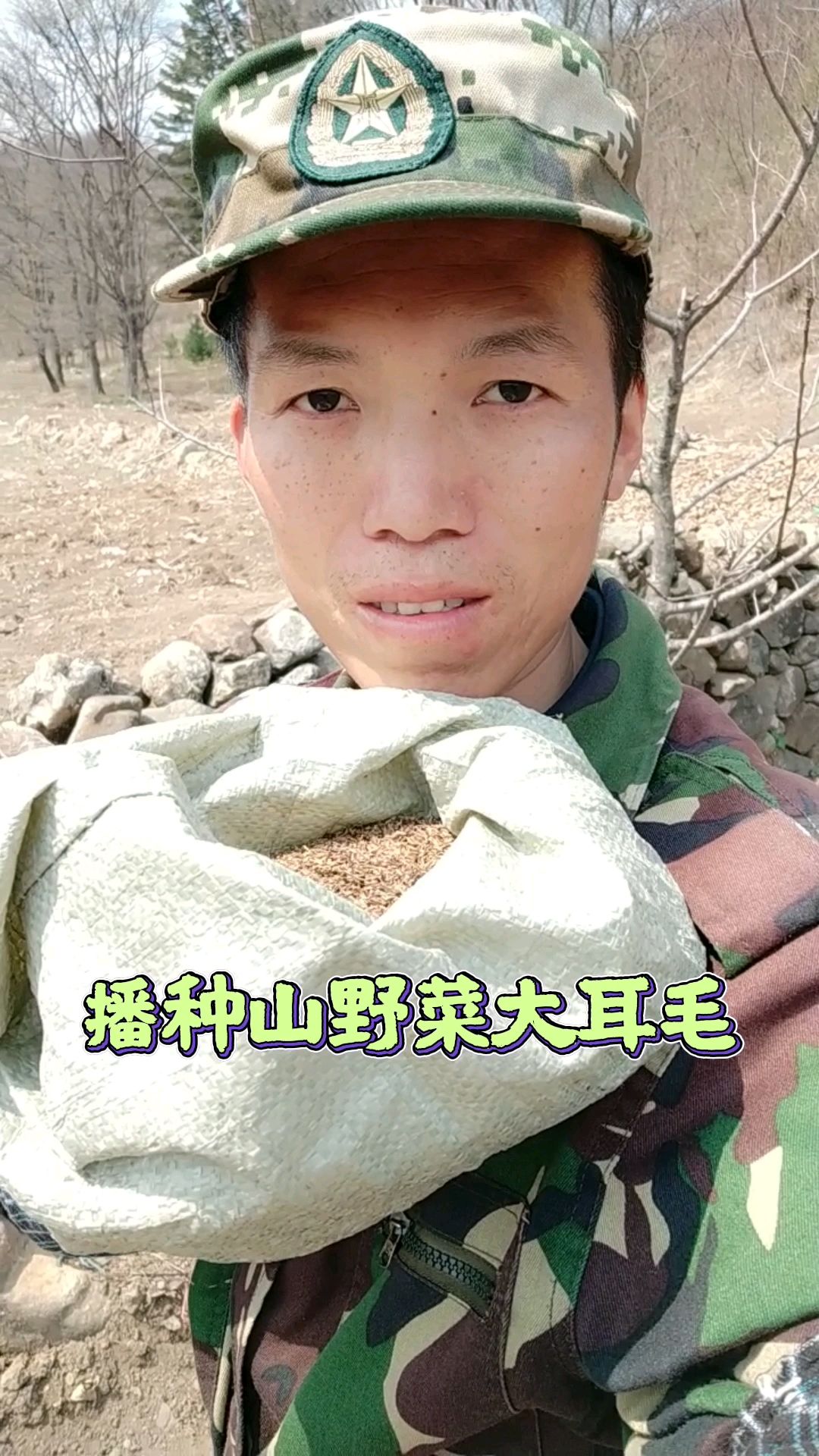 播种山野菜大耳毛。