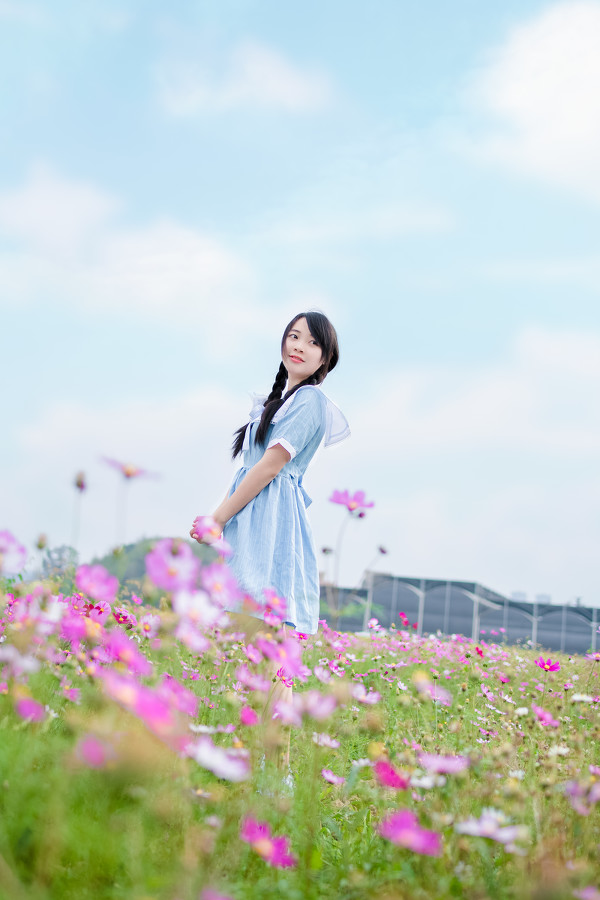 图片[2]-葵花物语-六色网