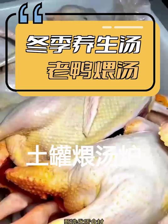 煨鸭炉,美食,养生汤炉酒店用煲汤炉