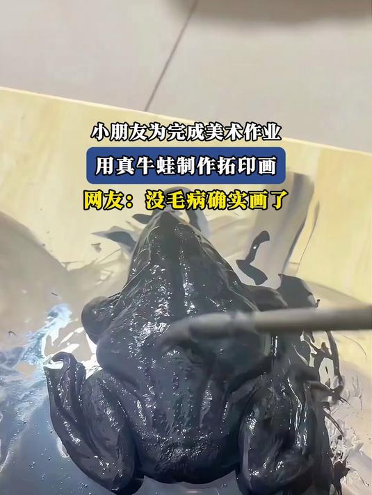 小朋友为完成美术作业,用真牛蛙制作拓印画,网友没毛病确实画了
