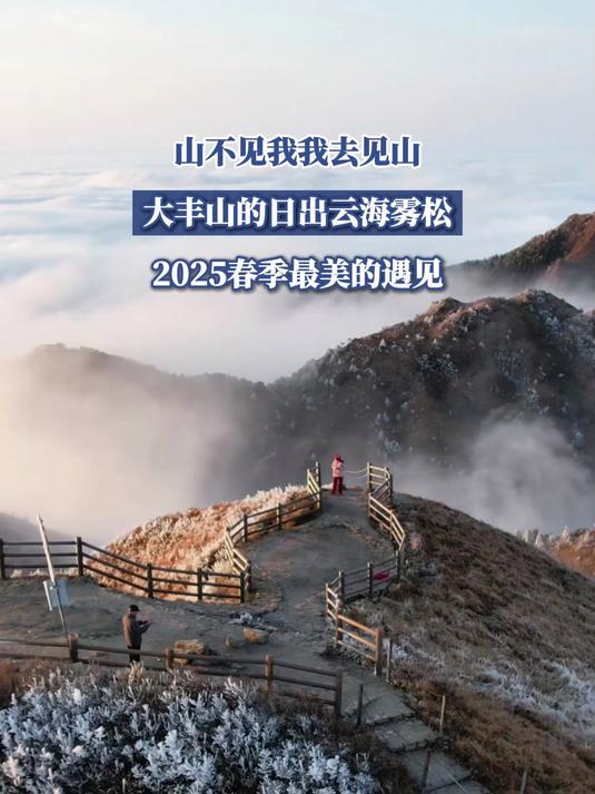 山不见我我去见山,大丰山的日出云海雾松