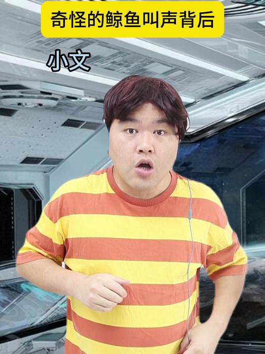 脑洞是真大啊!奇怪的鲸鱼叫声背后竟隐藏着这么大的秘密!
