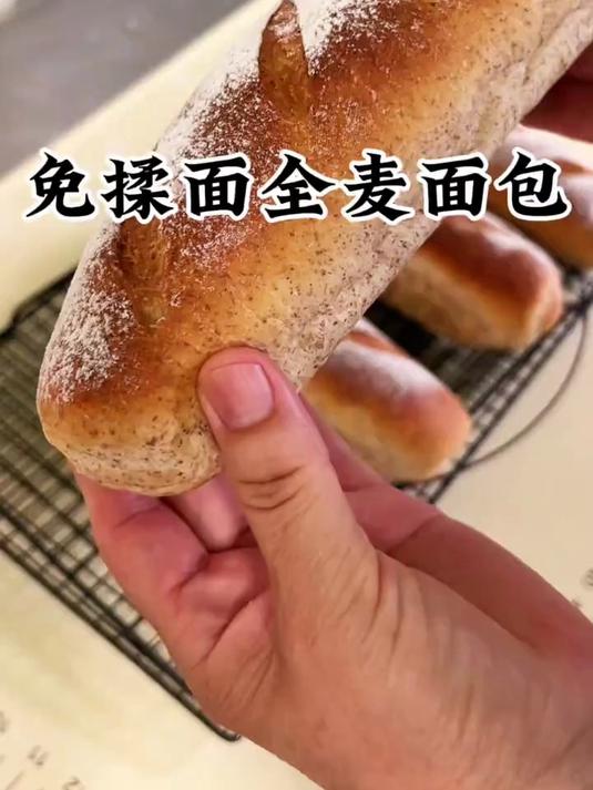 不用下手揉面的全麦面包 少油少糖 自律期的朋友也可以放心的吃