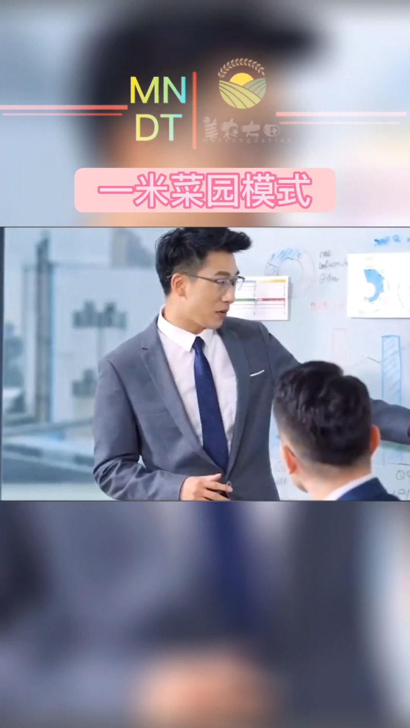 #农业 浙江出现一种新的种植模式,一米菜园模式,来了解一下