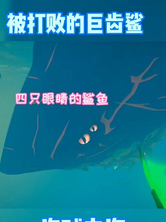 大鲨鱼让我们腾空了，这鲨鱼可真大，四只眼睛 盗贼之海