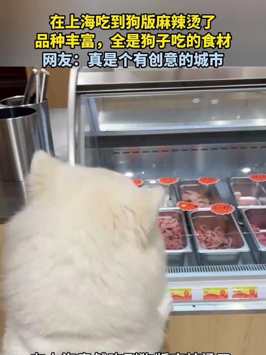 在上海吃到狗版麻辣烫了,品种丰富,全是狗子吃的食材