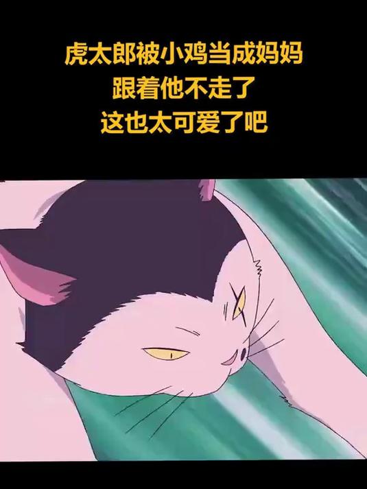 虎太郎被小鸡当成妈妈,跟着他不走了,这也太可爱了
