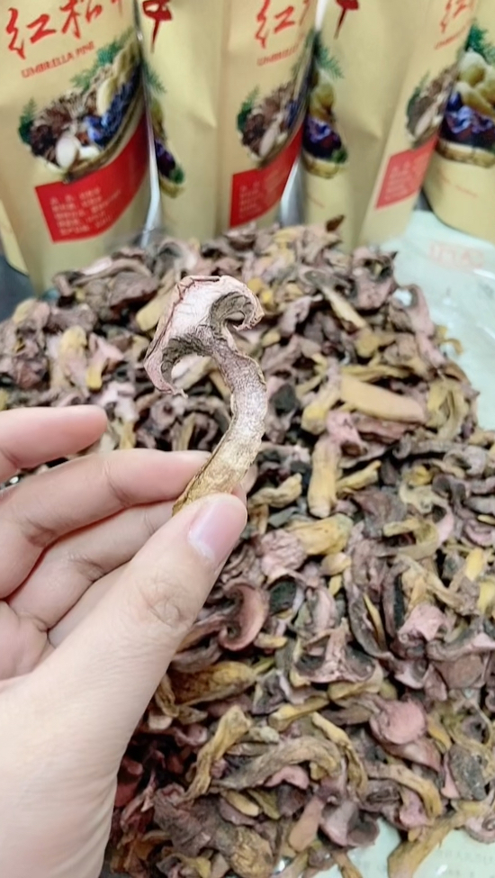 东北红松蘑