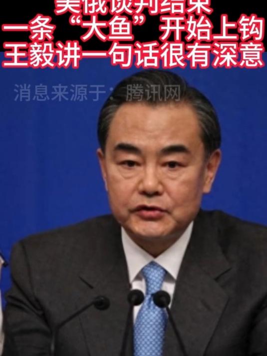 美俄谈判结束,一条“大鱼”开始上钩,王毅讲一句话,很有深意