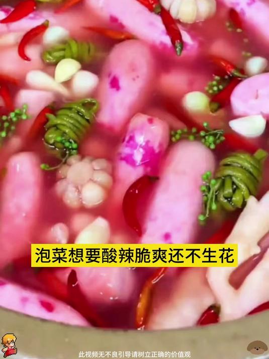 泡菜乳酸菌粉自制美味酸菜韩式东北四川泡菜菌种发酵剂