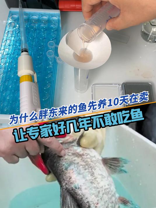 为啥胖东来的鱼养10天才卖,让教授不敢吃鱼的孔雀石绿,屡被查出
