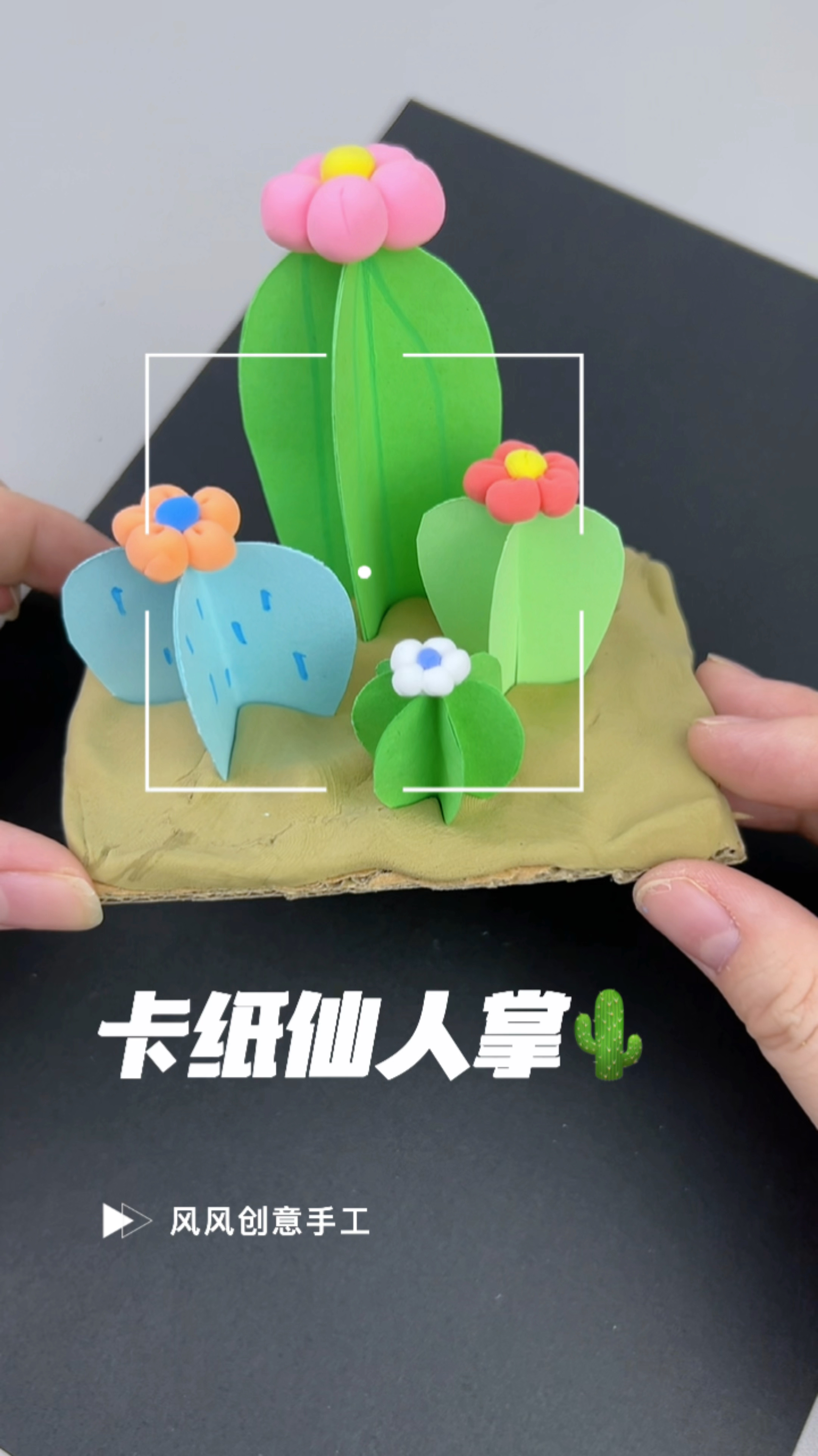 风风创意手工-卡纸立体仙人掌